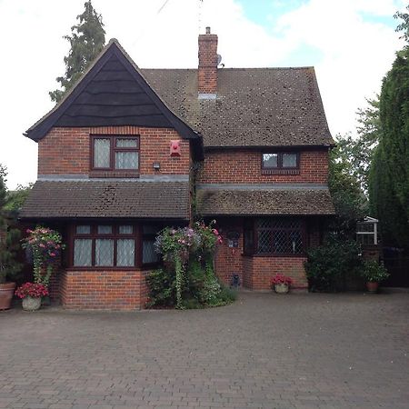 Tudor Cottage Bed & Breakfast Cambridge Exterior foto